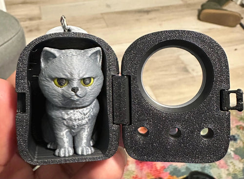 3D Printed Capsule Cat Keychain | Kawaii Angry Cat Collectible | Cute Desk Buddy Figure | Designer Style Mini Cat Gift